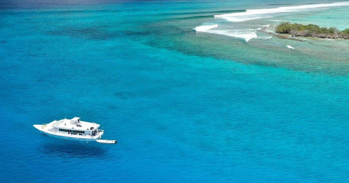 573A10E8-088E-4BBD-91BD-B3B610E827BD_resized