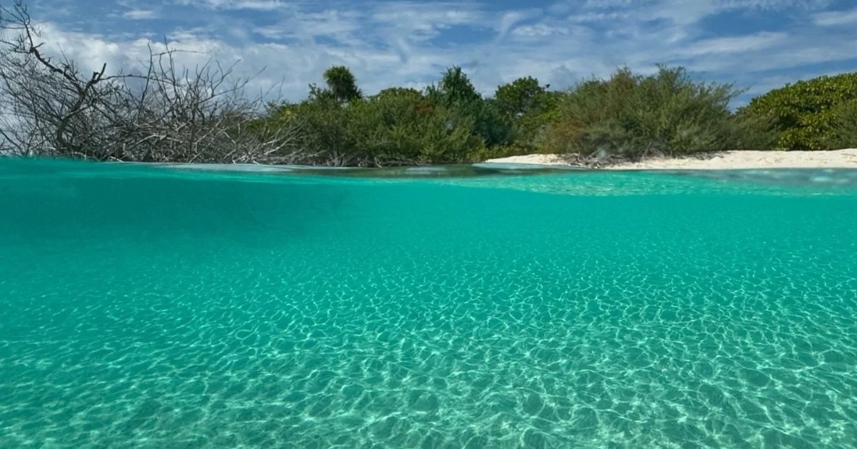 8625BA13-6BF0-46FC-95C5-A37652BE9F47_resized