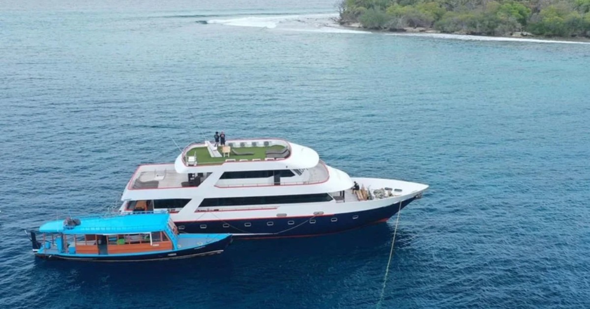 Screen+Shot+2024-10-15+at+10.05