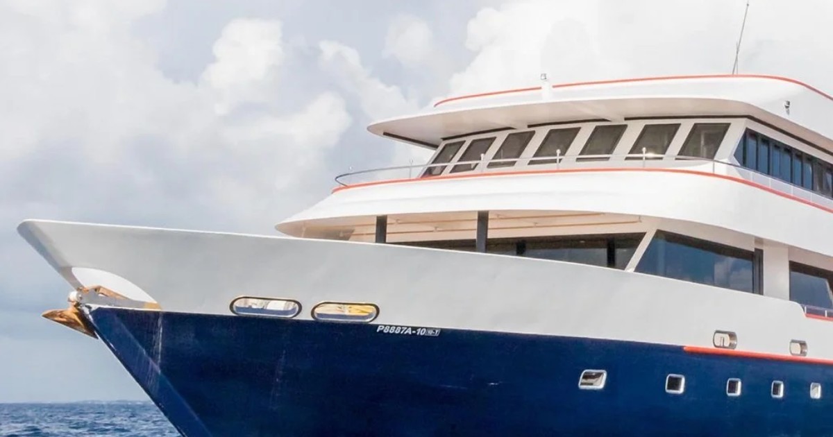 Screen+Shot+2024-10-15+at+10.06